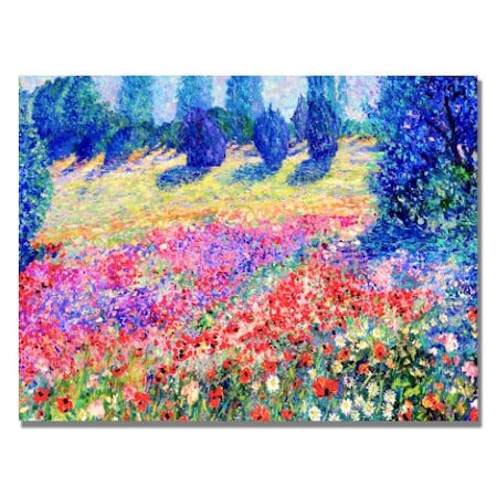 Manor Shadian 'Poppies' Canvas Art,22x32